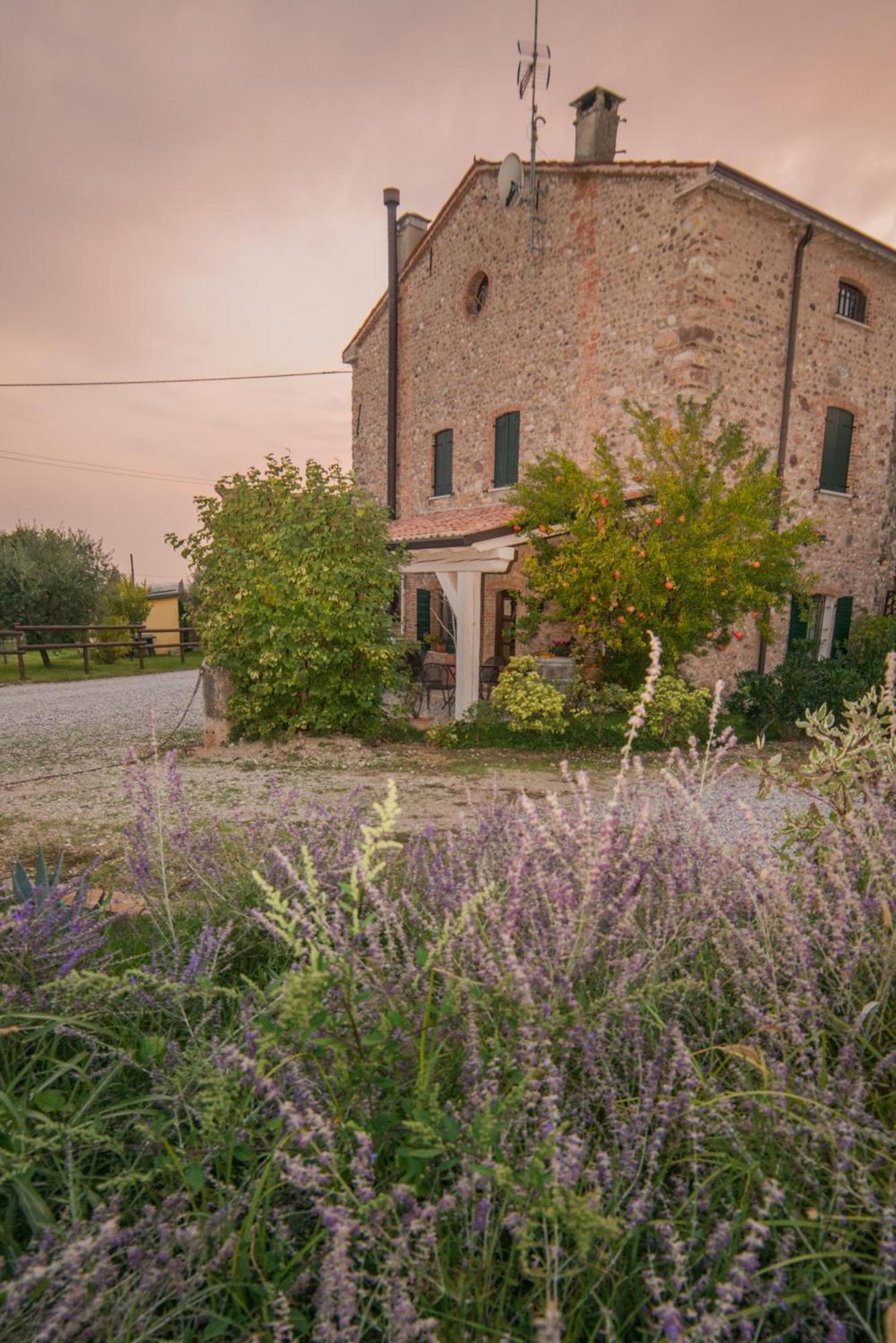 B&B il mio Casale Colà Esterno foto