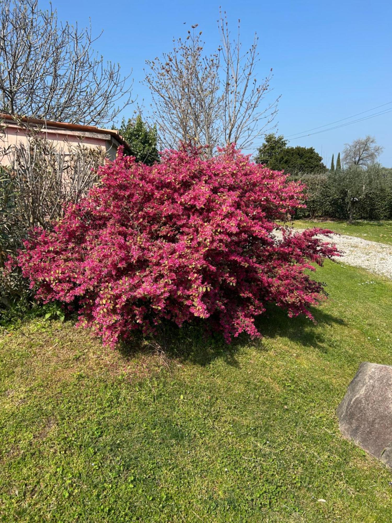 B&B il mio Casale Colà Esterno foto